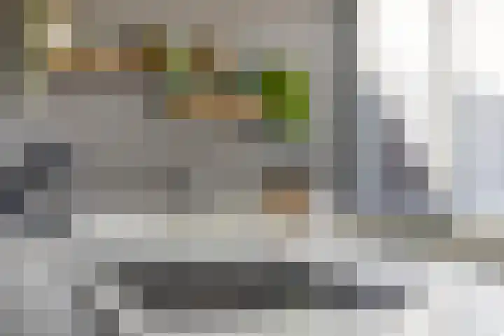 Dokter Kanterslaan 190 Grave thumbnail 19