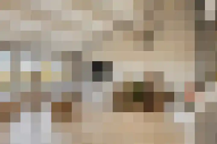 Dokter Kanterslaan 190 Grave foto 2