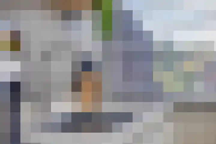 Dokter Kanterslaan 190 Grave thumbnail 20