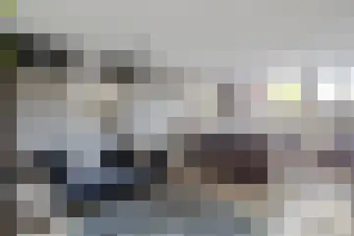 Dokter Kanterslaan 190 Grave thumbnail 37
