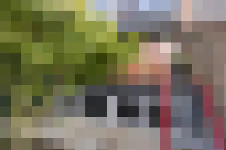 Dokter Kanterslaan 190 Grave thumbnail 40