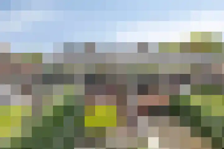 Dokter Kanterslaan 190 Grave thumbnail 41
