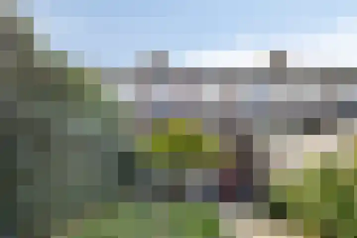 Dokter Kanterslaan 190 Grave thumbnail 42