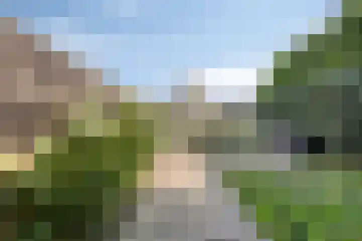 Dokter Kanterslaan 190 Grave thumbnail 43