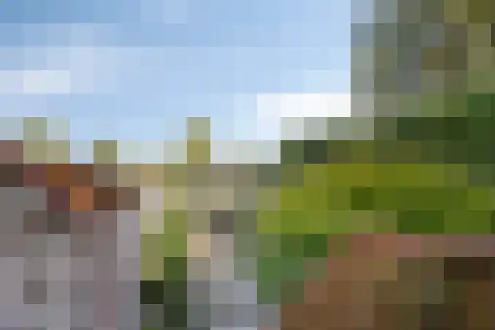 Dokter Kanterslaan 190 Grave thumbnail 44