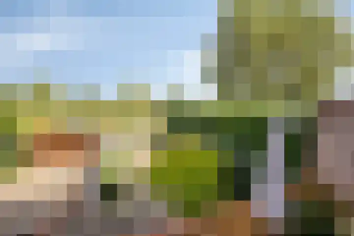 Dokter Kanterslaan 190 Grave thumbnail 45