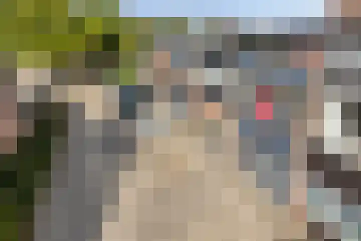 Dokter Kanterslaan 190 Grave thumbnail 48