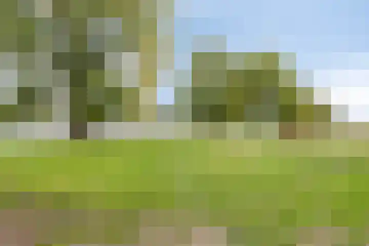 Dokter Kanterslaan 190 Grave thumbnail 50