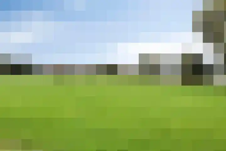 Dokter Kanterslaan 190 Grave thumbnail 51
