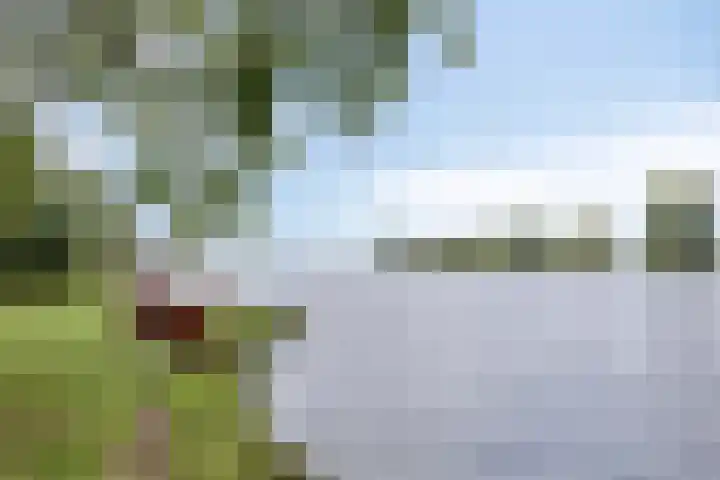 Dokter Kanterslaan 190 Grave thumbnail 52