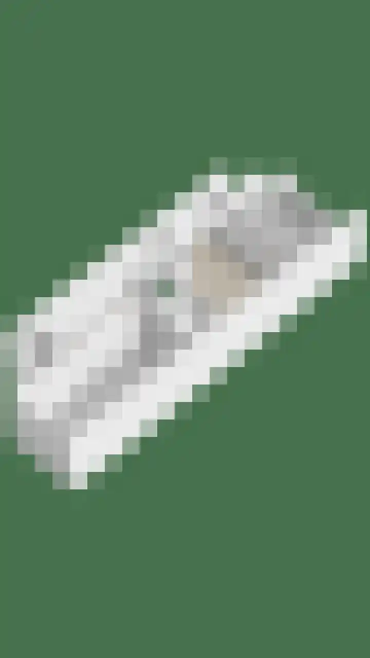 Dokter Kanterslaan 190 Grave thumbnail 58