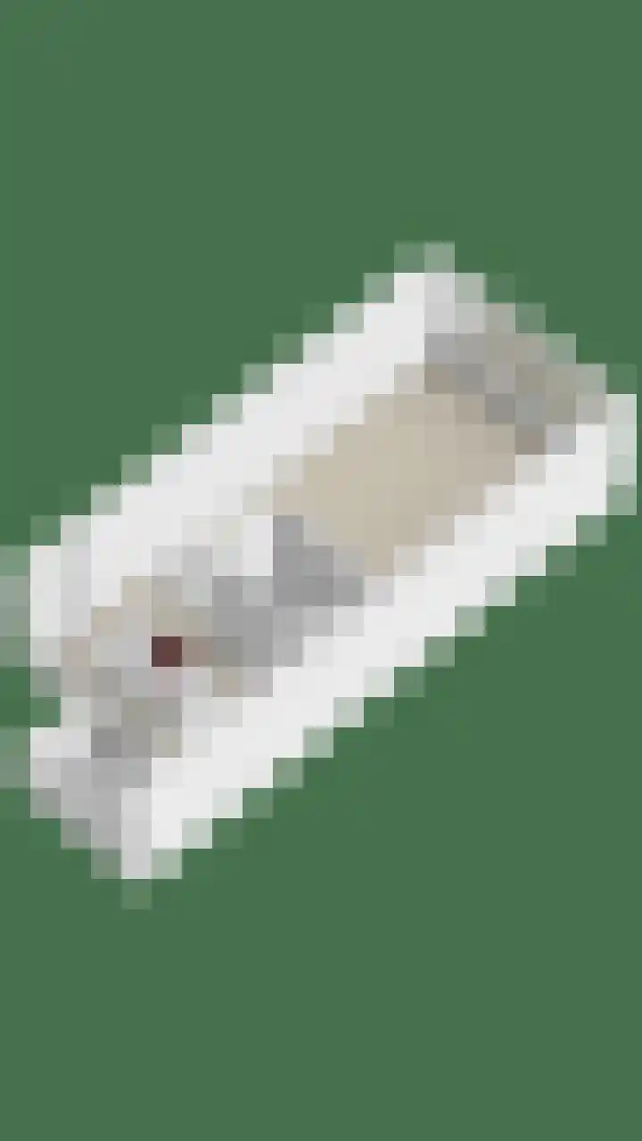 Dokter Kanterslaan 190 Grave thumbnail 60