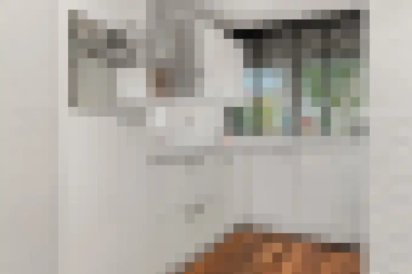 Dokter Kanterslaan 193 Grave thumbnail 12