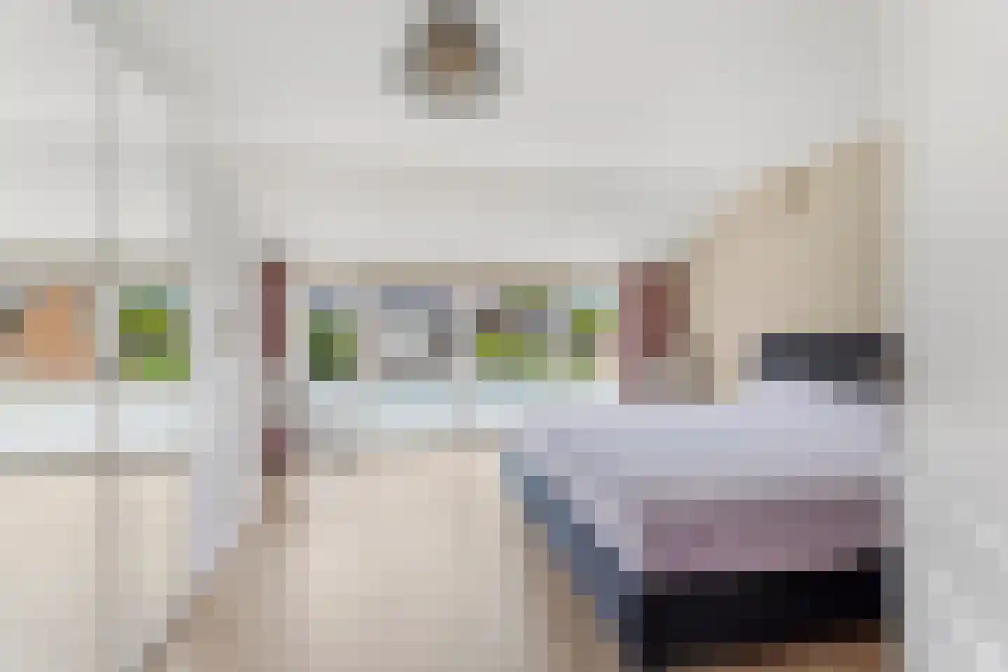 Dokter Kanterslaan 193 Grave thumbnail 17