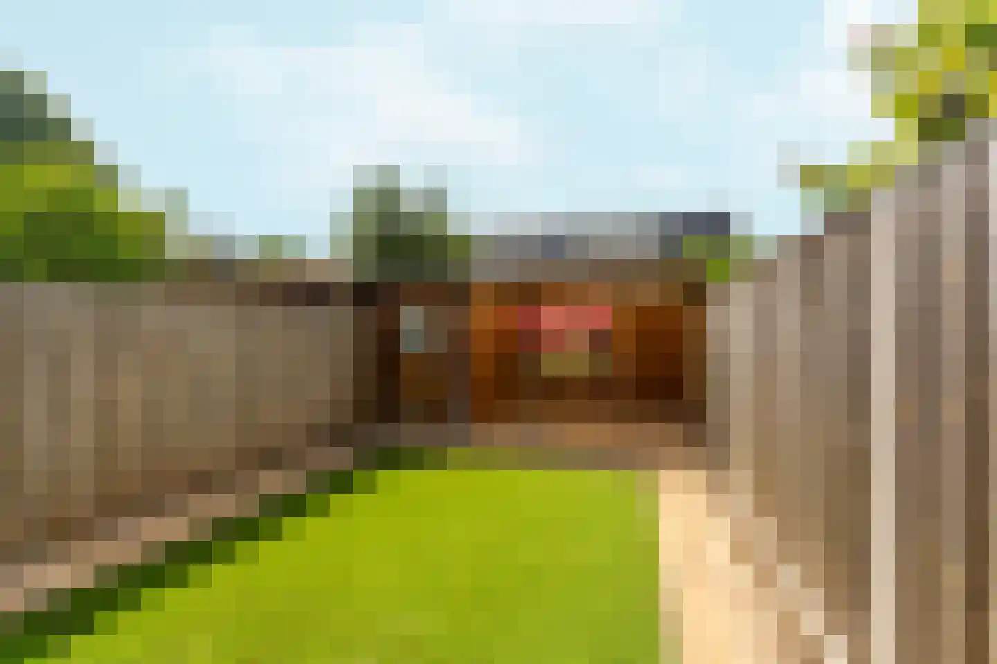 Dokter Kanterslaan 193 Grave thumbnail 31