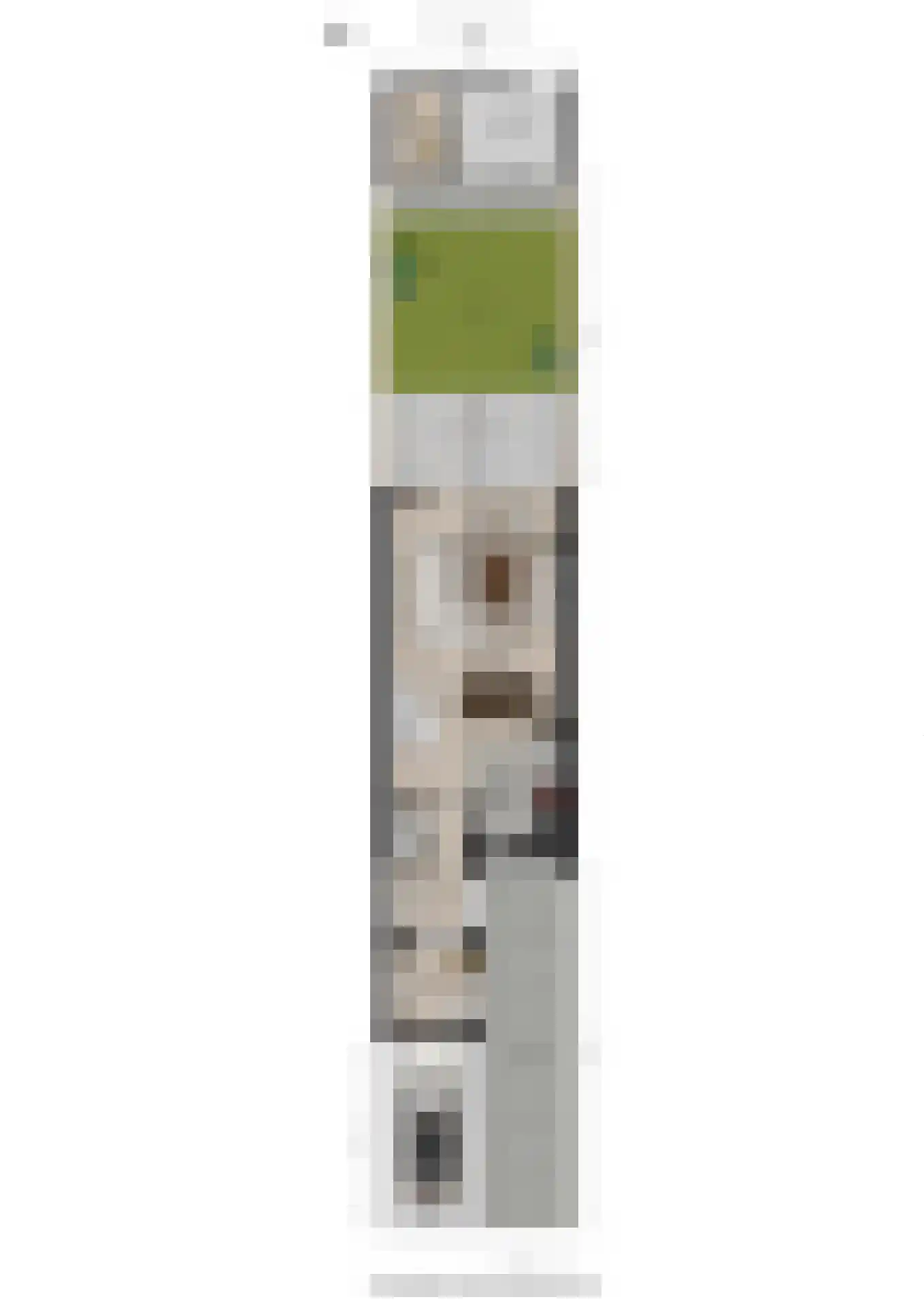 Dokter Kanterslaan 193 Grave thumbnail 41