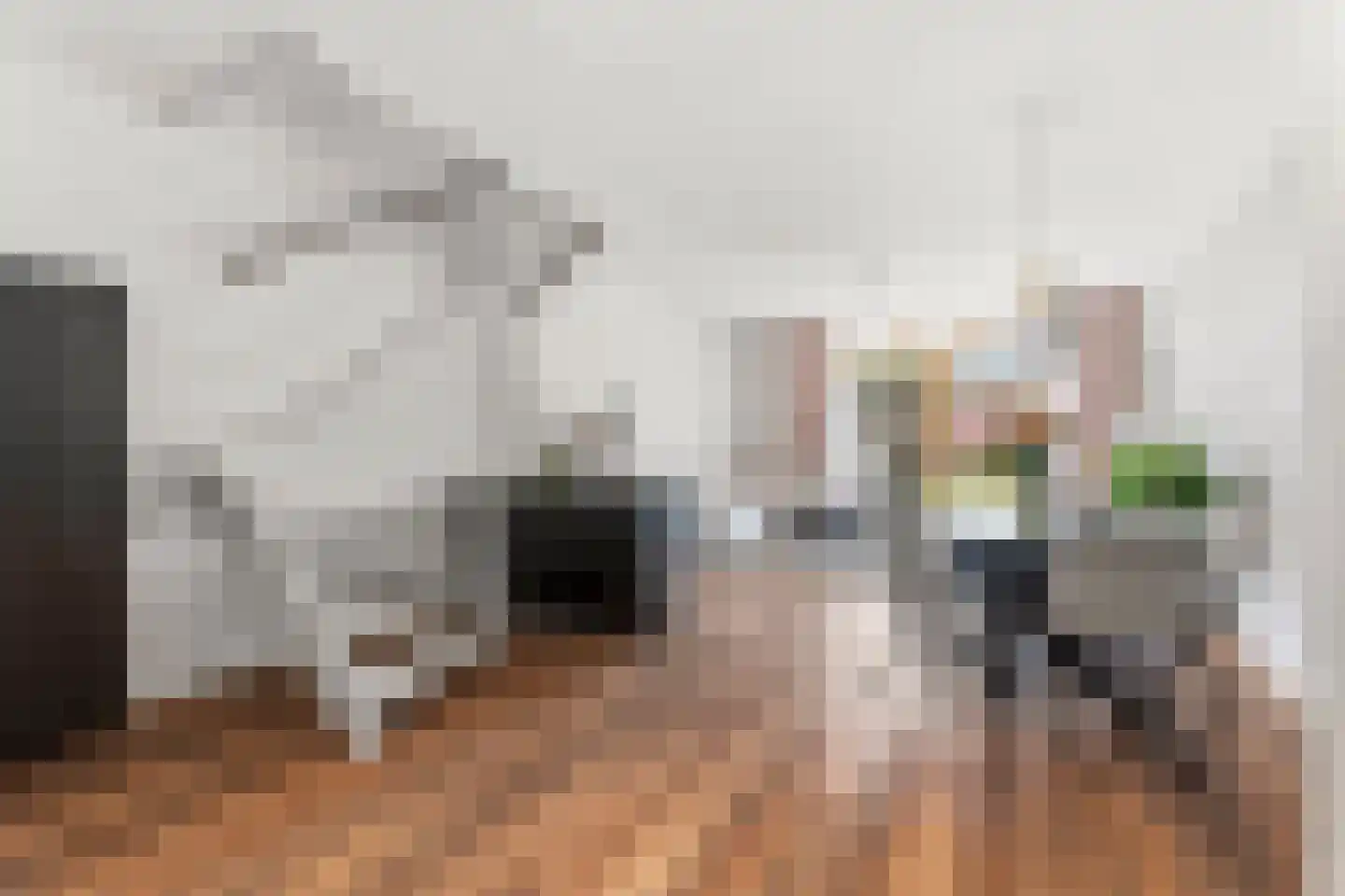 Dokter Kanterslaan 193 Grave thumbnail 9