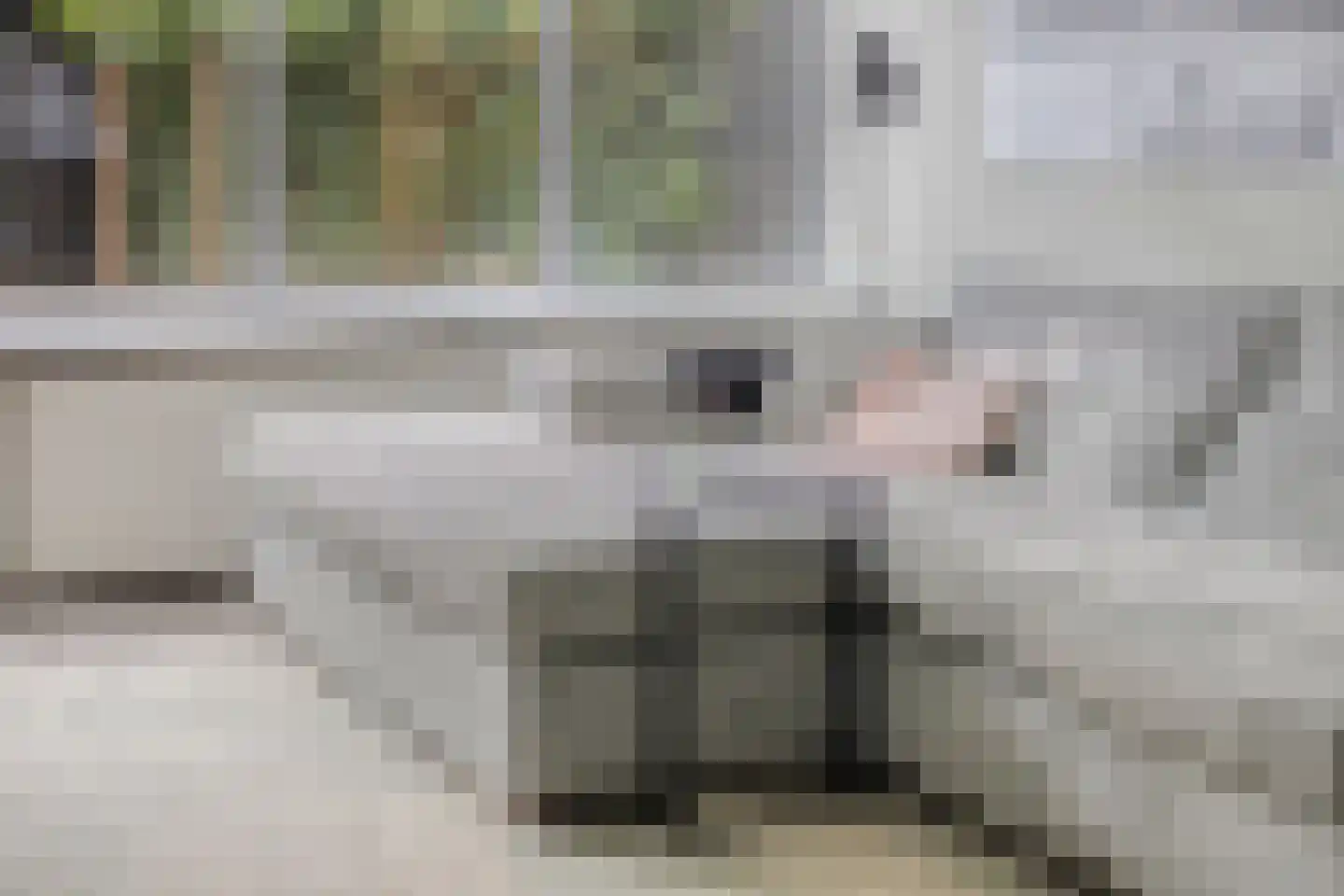 Dokter Kanterslaan 194 Grave thumbnail 12