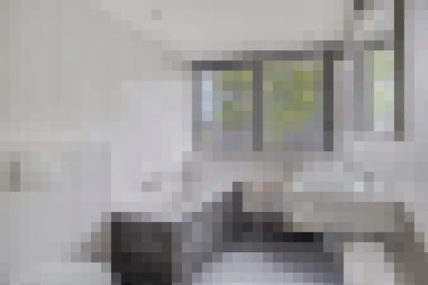 Dokter Kanterslaan 194 Grave thumbnail 21