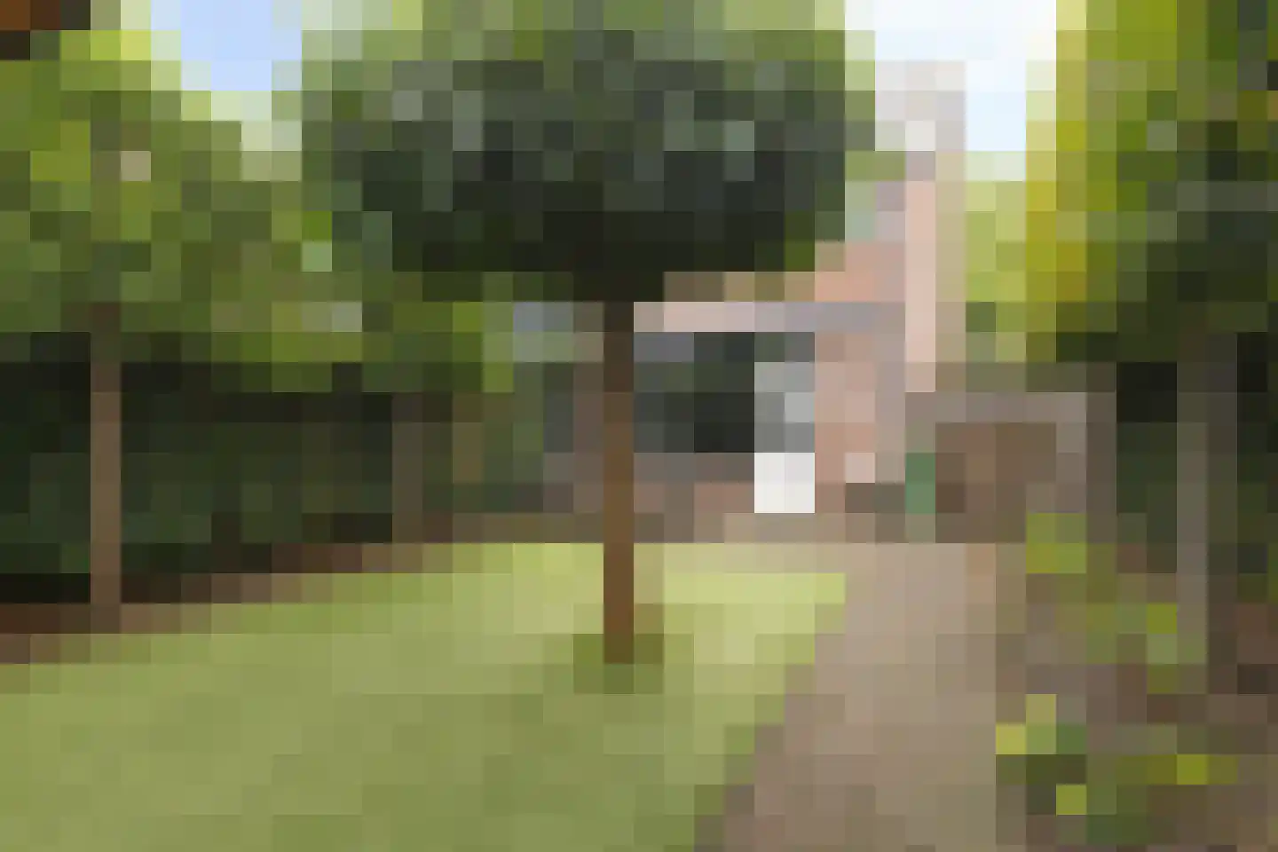 Dokter Kanterslaan 194 Grave thumbnail 33