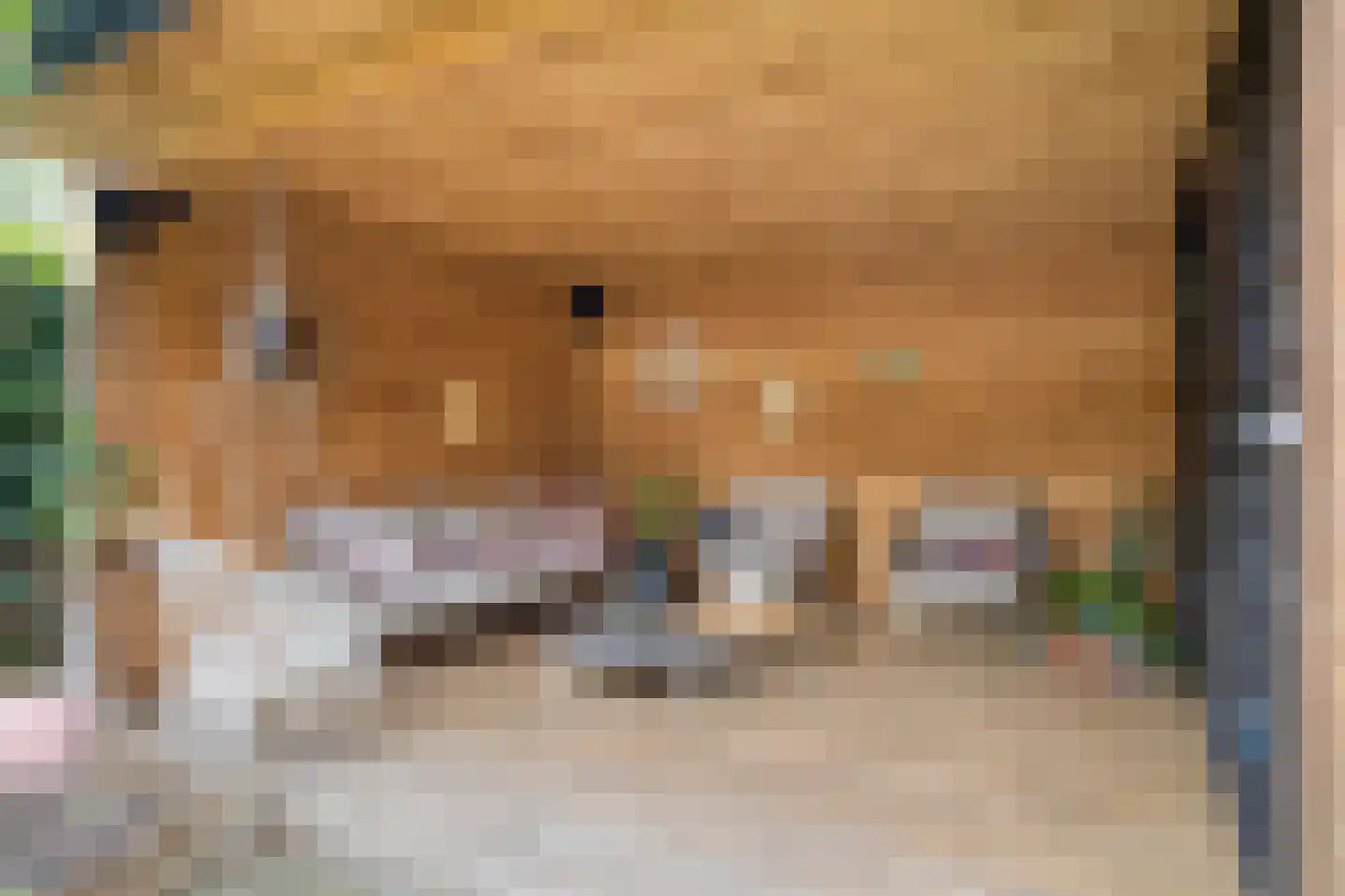 Dokter Kanterslaan 194 Grave thumbnail 36