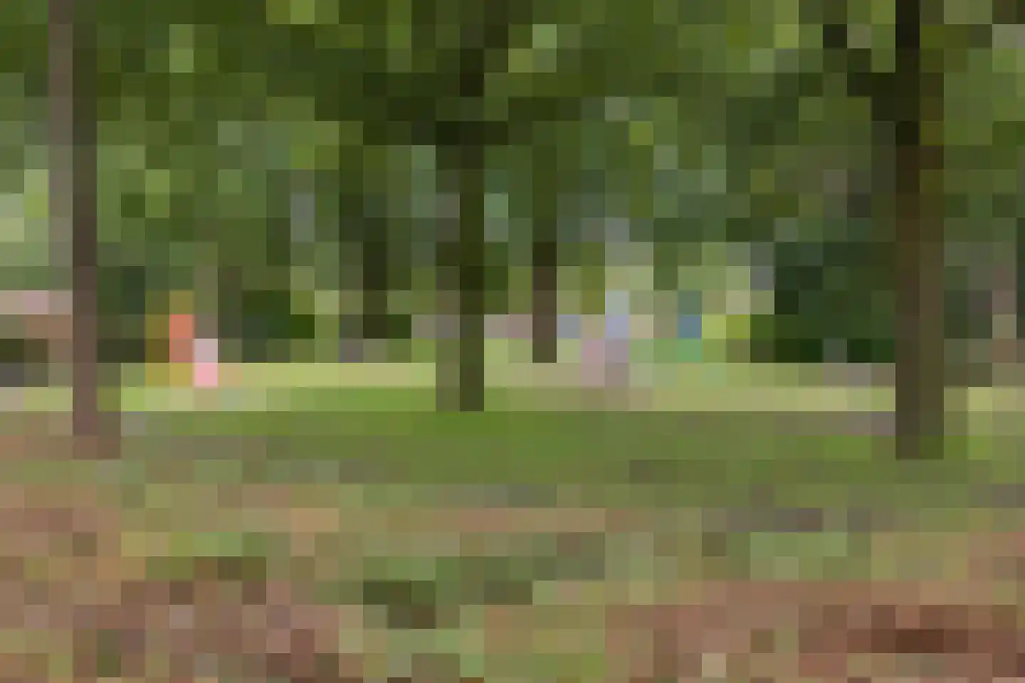 Dokter Kanterslaan 194 Grave thumbnail 40