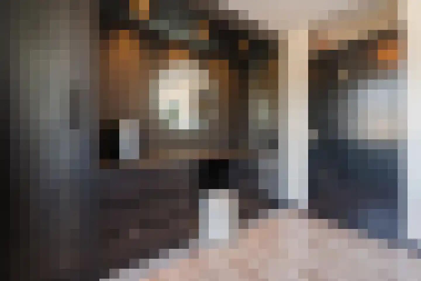 Dokter Kanterslaan 199 Grave thumbnail 20