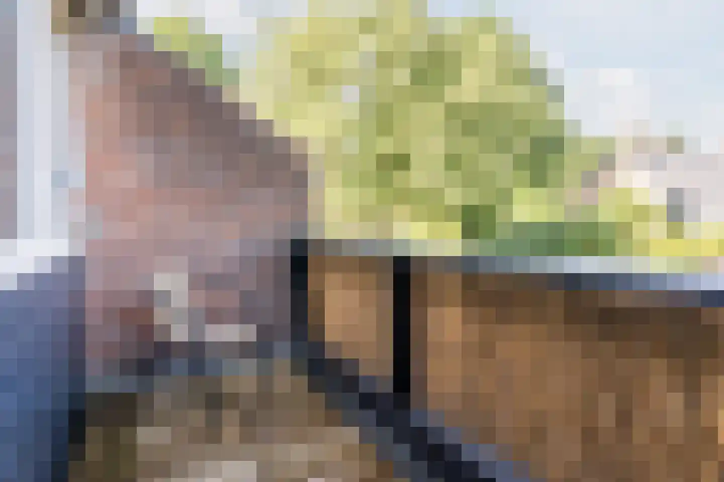 Dokter Kanterslaan 199 Grave thumbnail 23