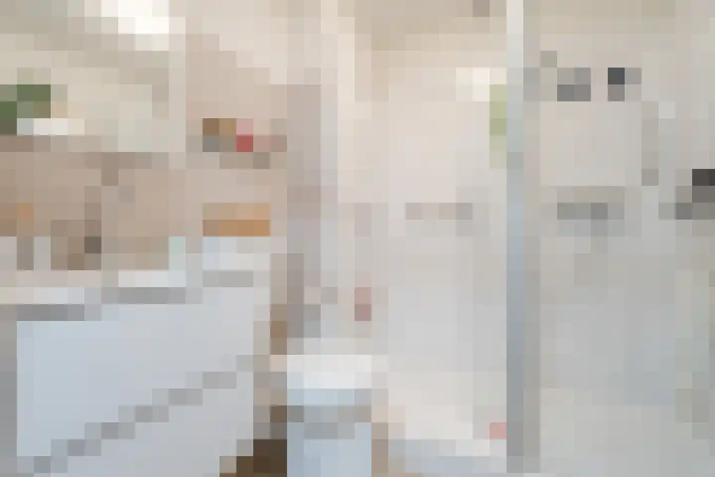 Dokter Kanterslaan 199 Grave thumbnail 27