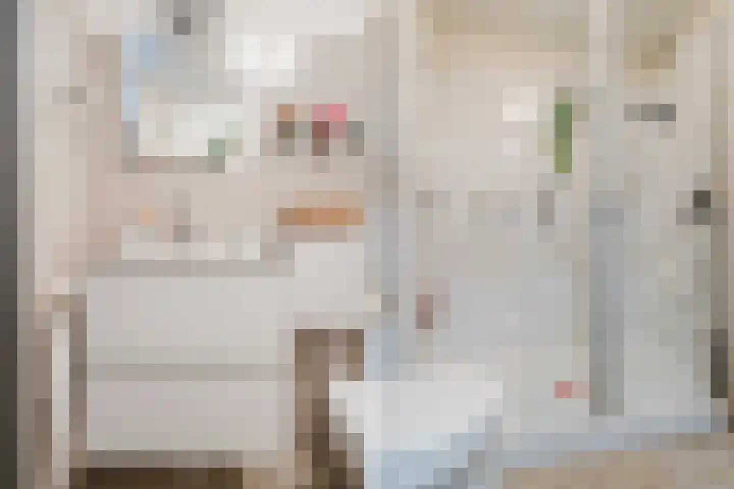 Dokter Kanterslaan 199 Grave thumbnail 29