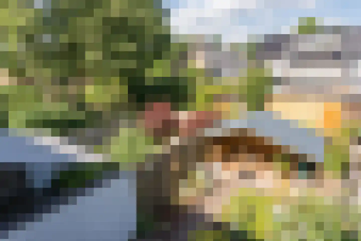 Dokter Kanterslaan 199 Grave thumbnail 36