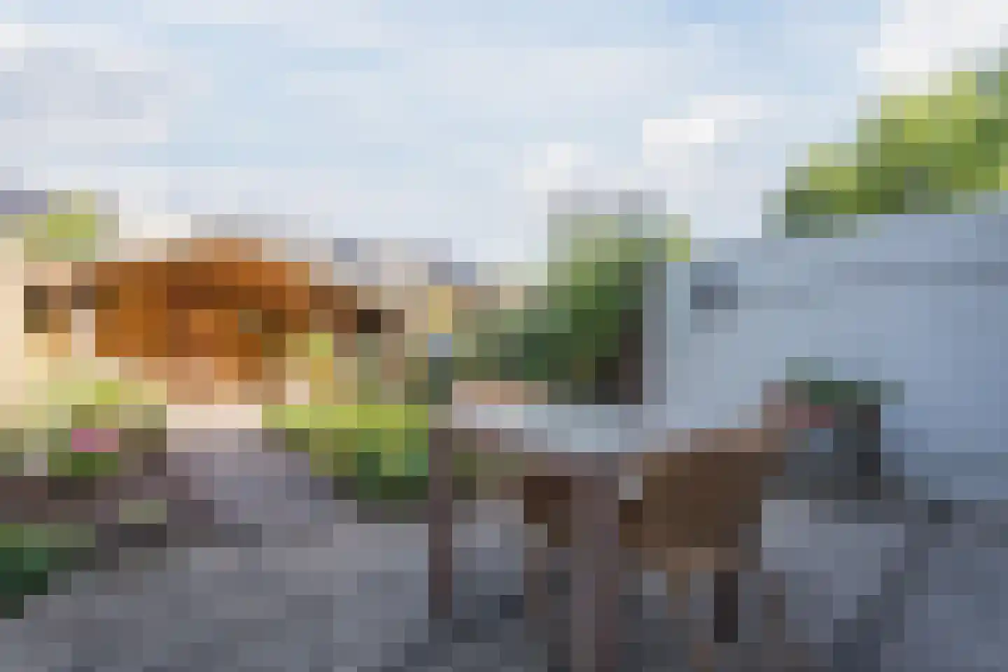 Dokter Kanterslaan 199 Grave thumbnail 37