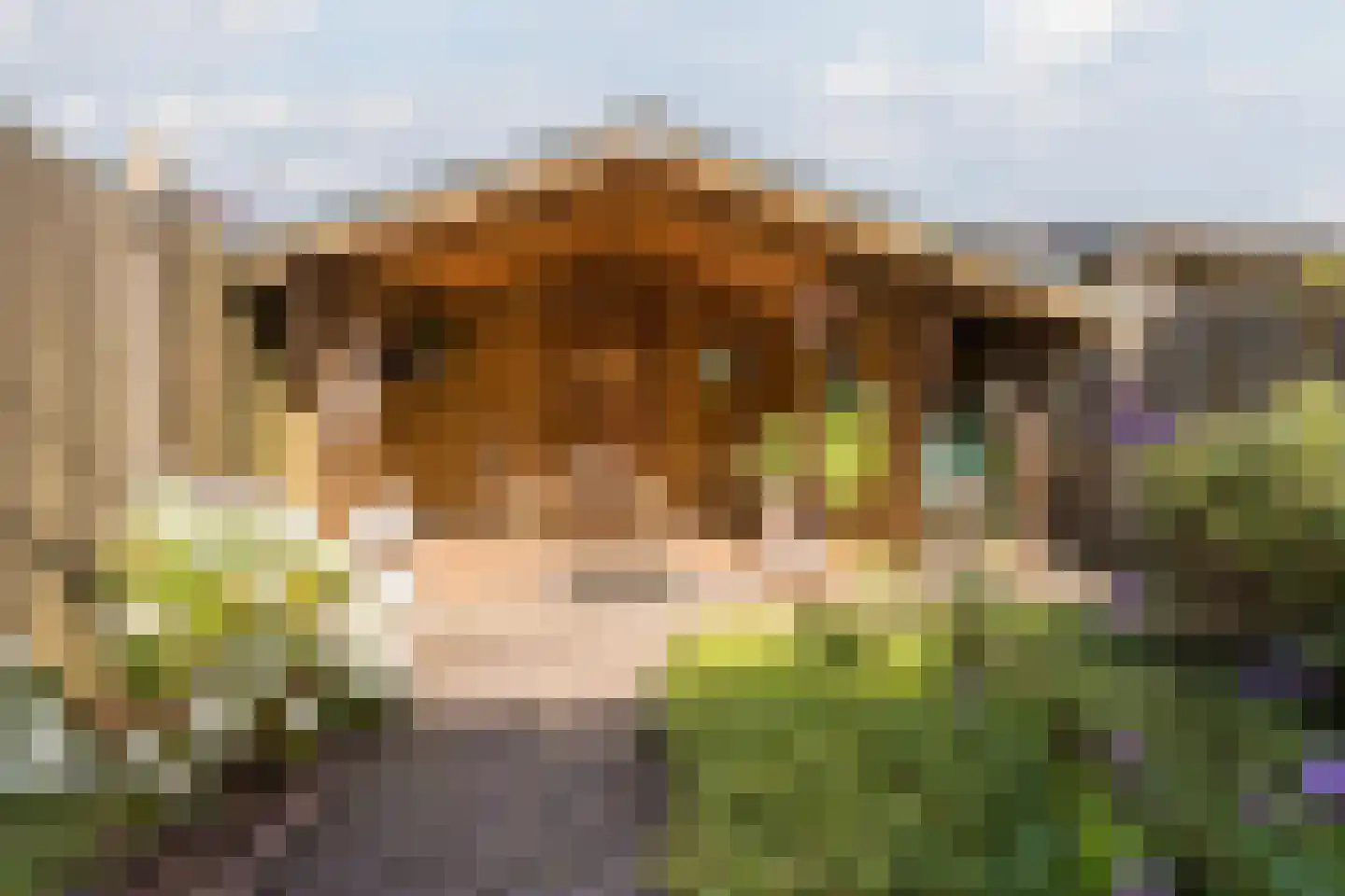 Dokter Kanterslaan 199 Grave thumbnail 38