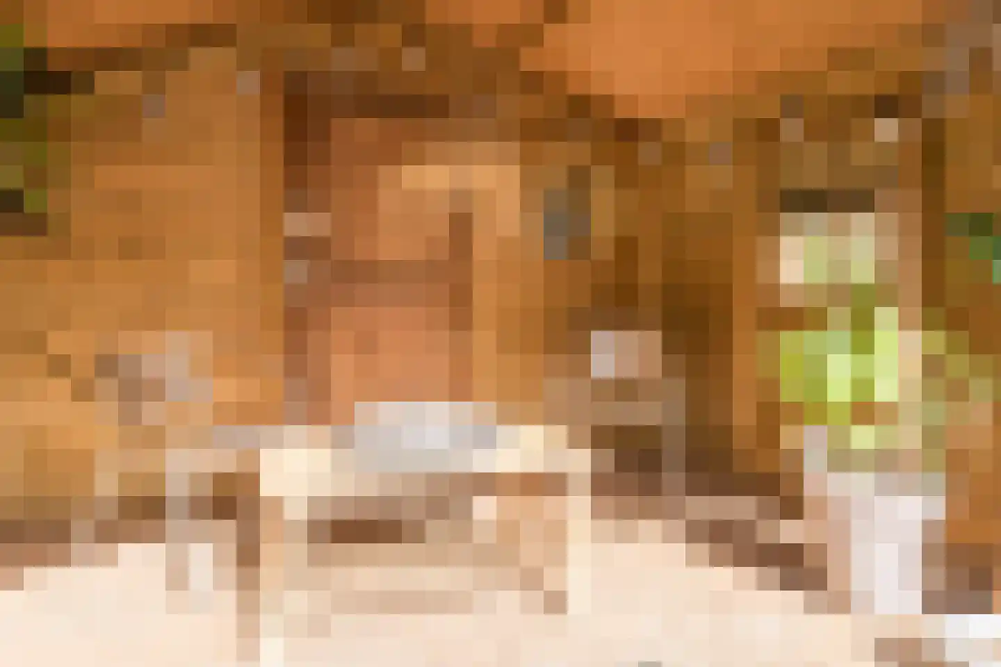 Dokter Kanterslaan 199 Grave thumbnail 39
