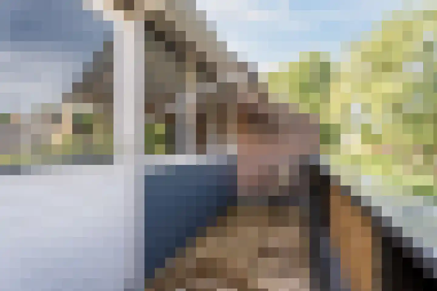 Dokter Kanterslaan 199 Grave thumbnail 4