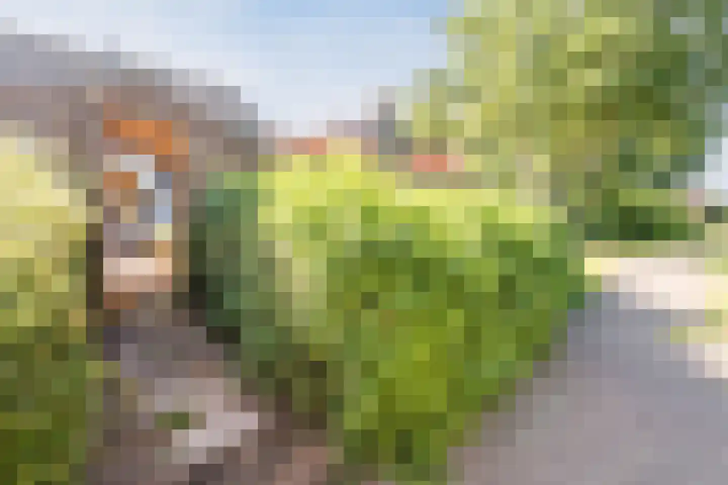Dokter Kanterslaan 199 Grave thumbnail 41