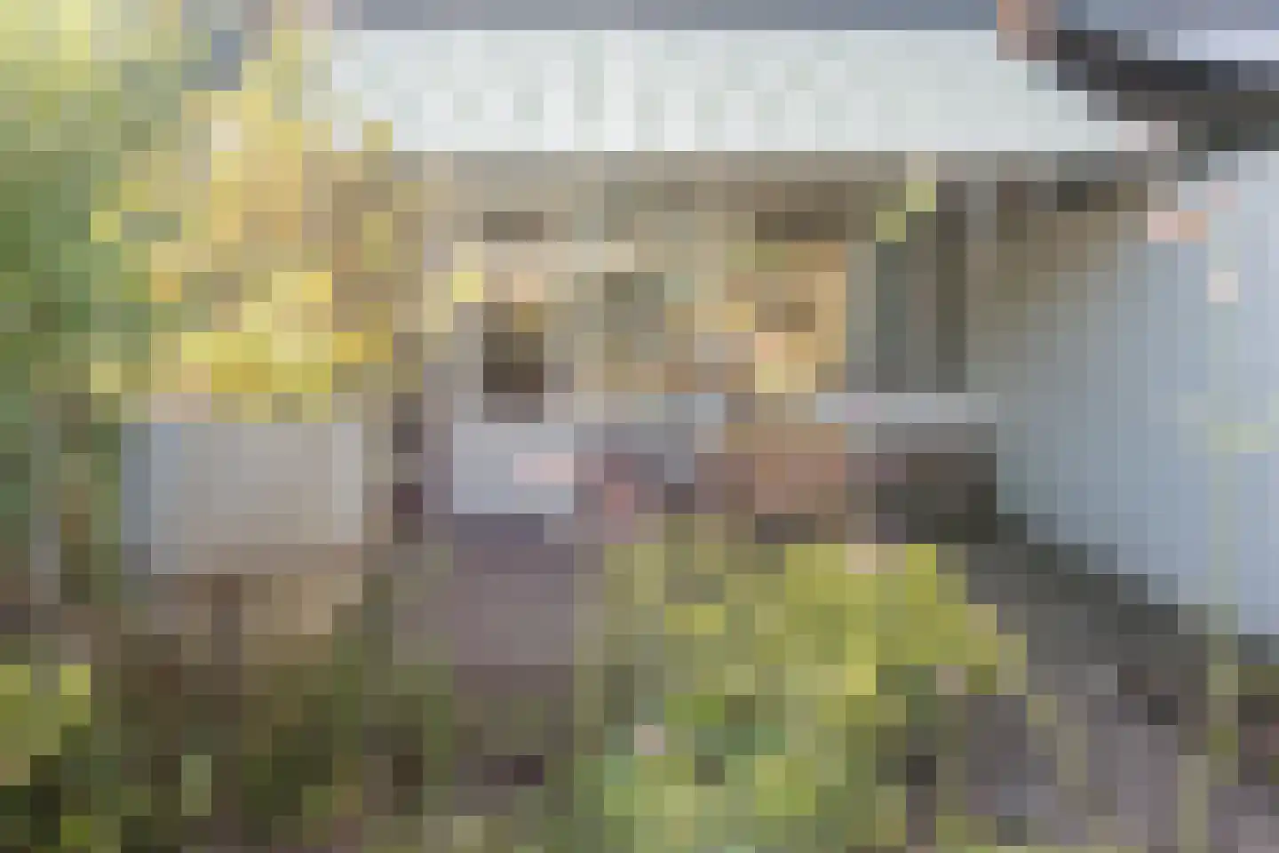 Dokter Kanterslaan 199 Grave thumbnail 42