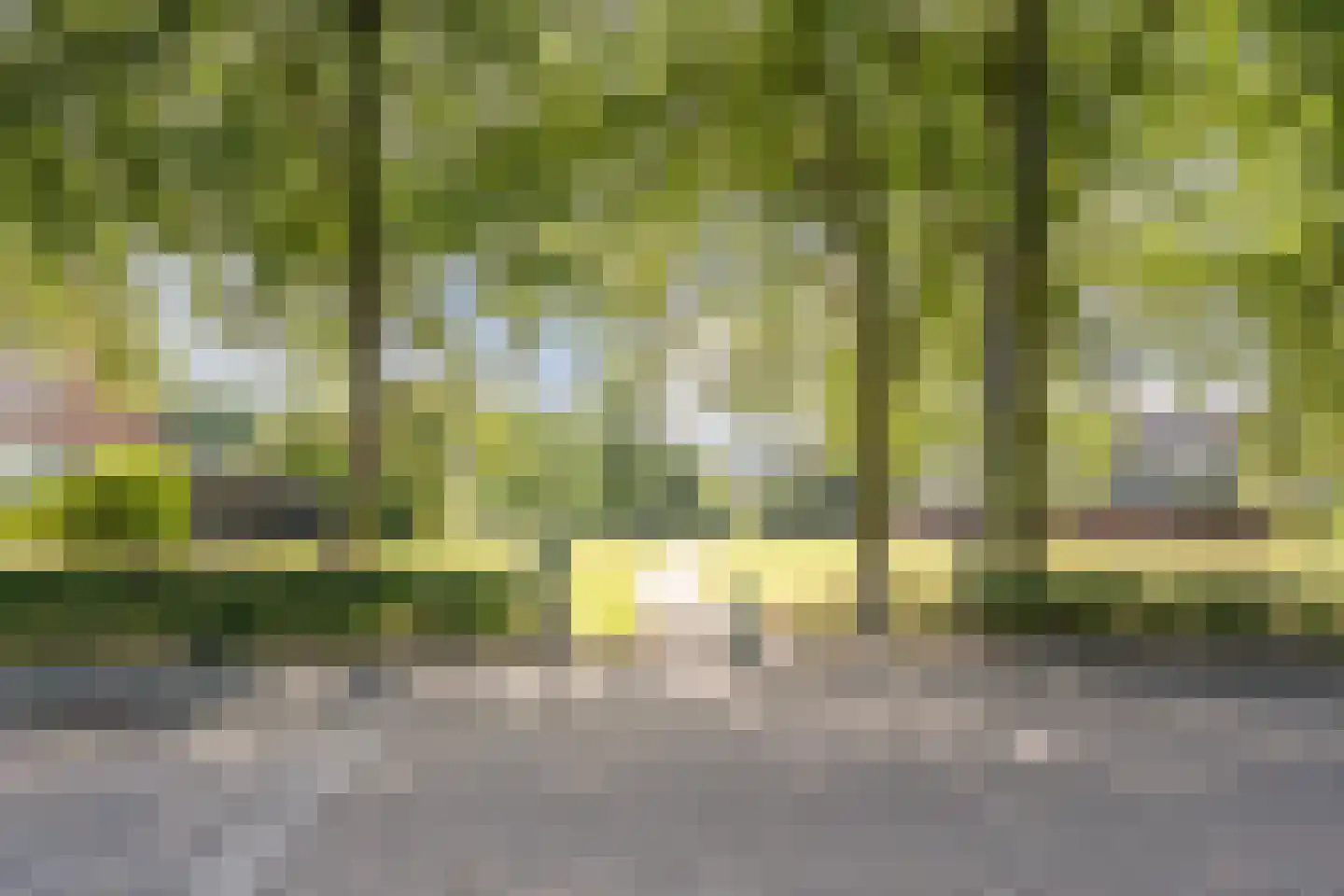 Dokter Kanterslaan 199 Grave thumbnail 46