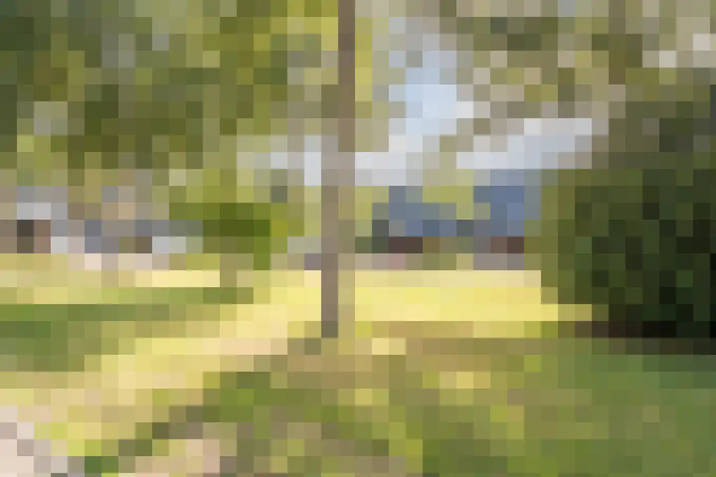 Dokter Kanterslaan 199 Grave thumbnail 47