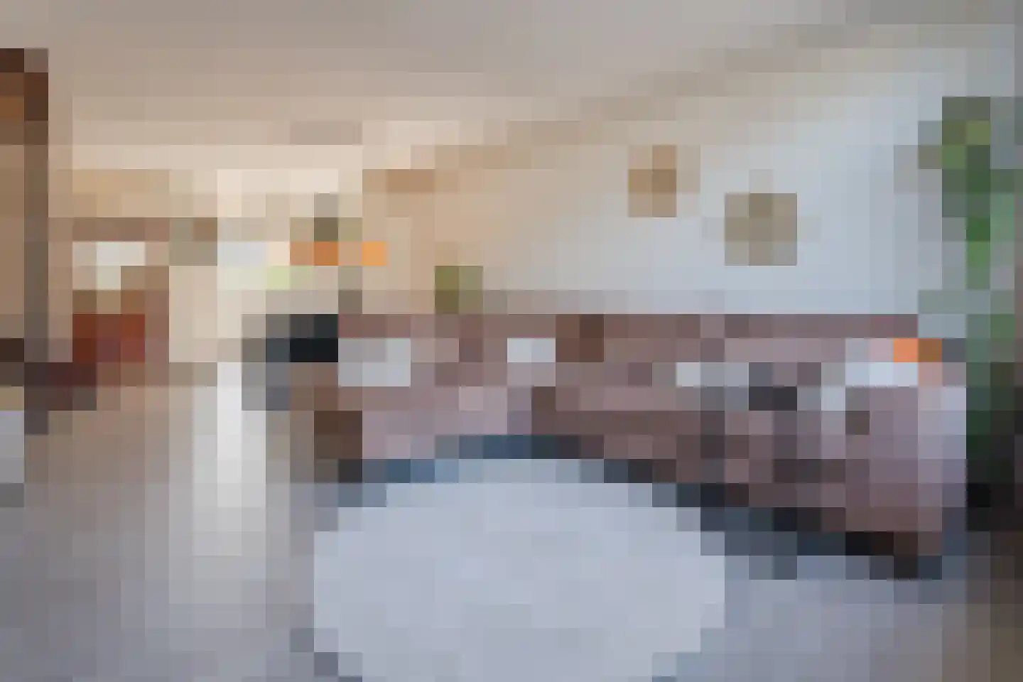 Dokter Kanterslaan 199 Grave thumbnail 9