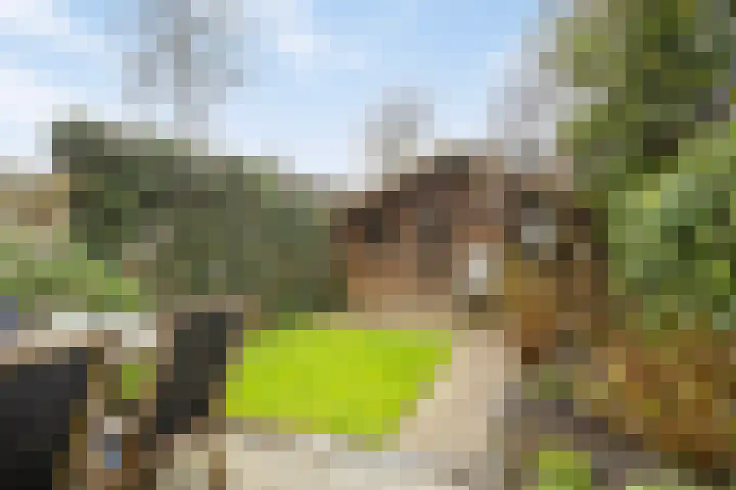 Dokter Kanterslaan 212 Grave thumbnail 23