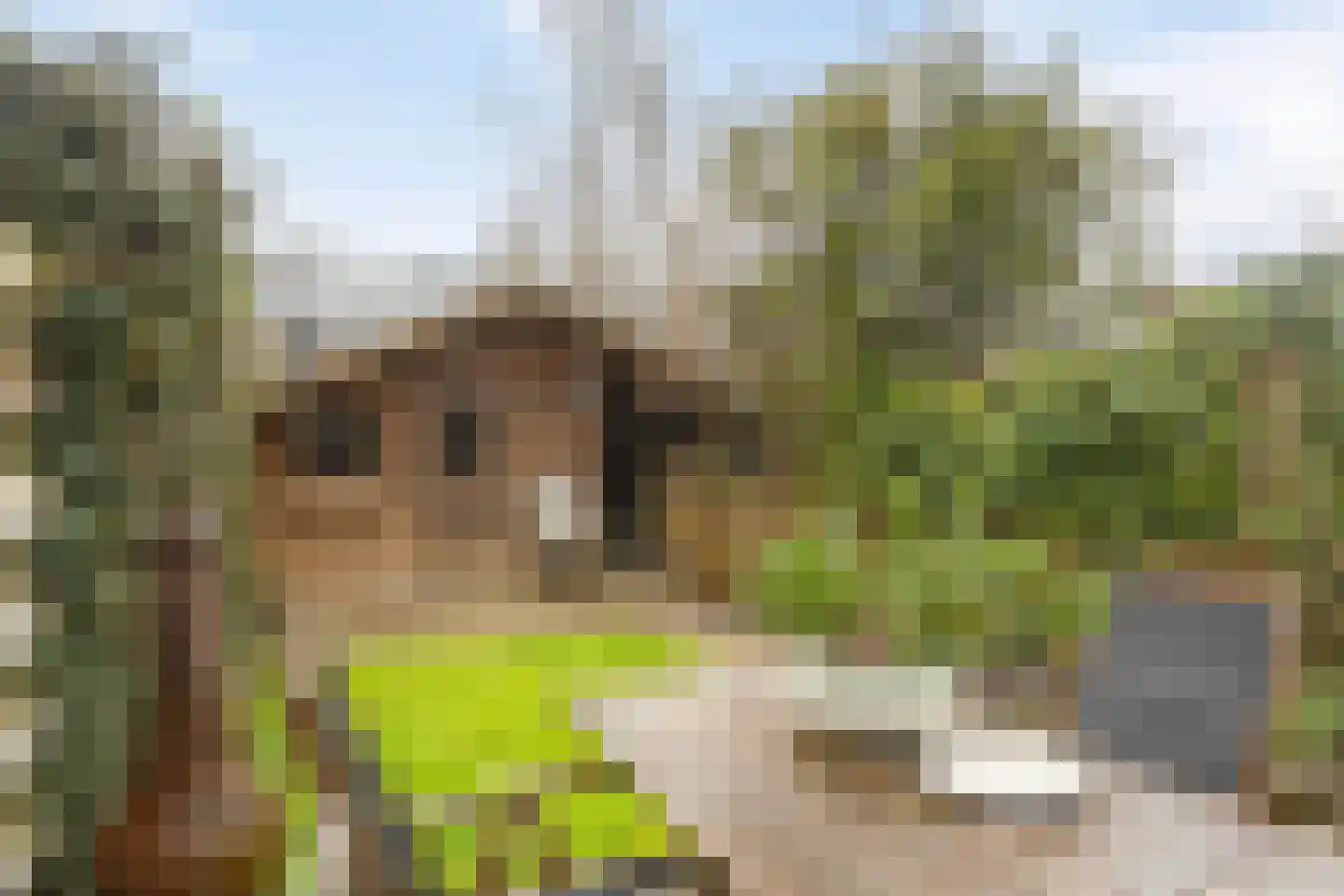 Dokter Kanterslaan 212 Grave thumbnail 25