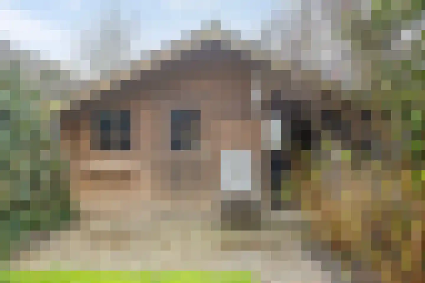 Dokter Kanterslaan 212 Grave thumbnail 27