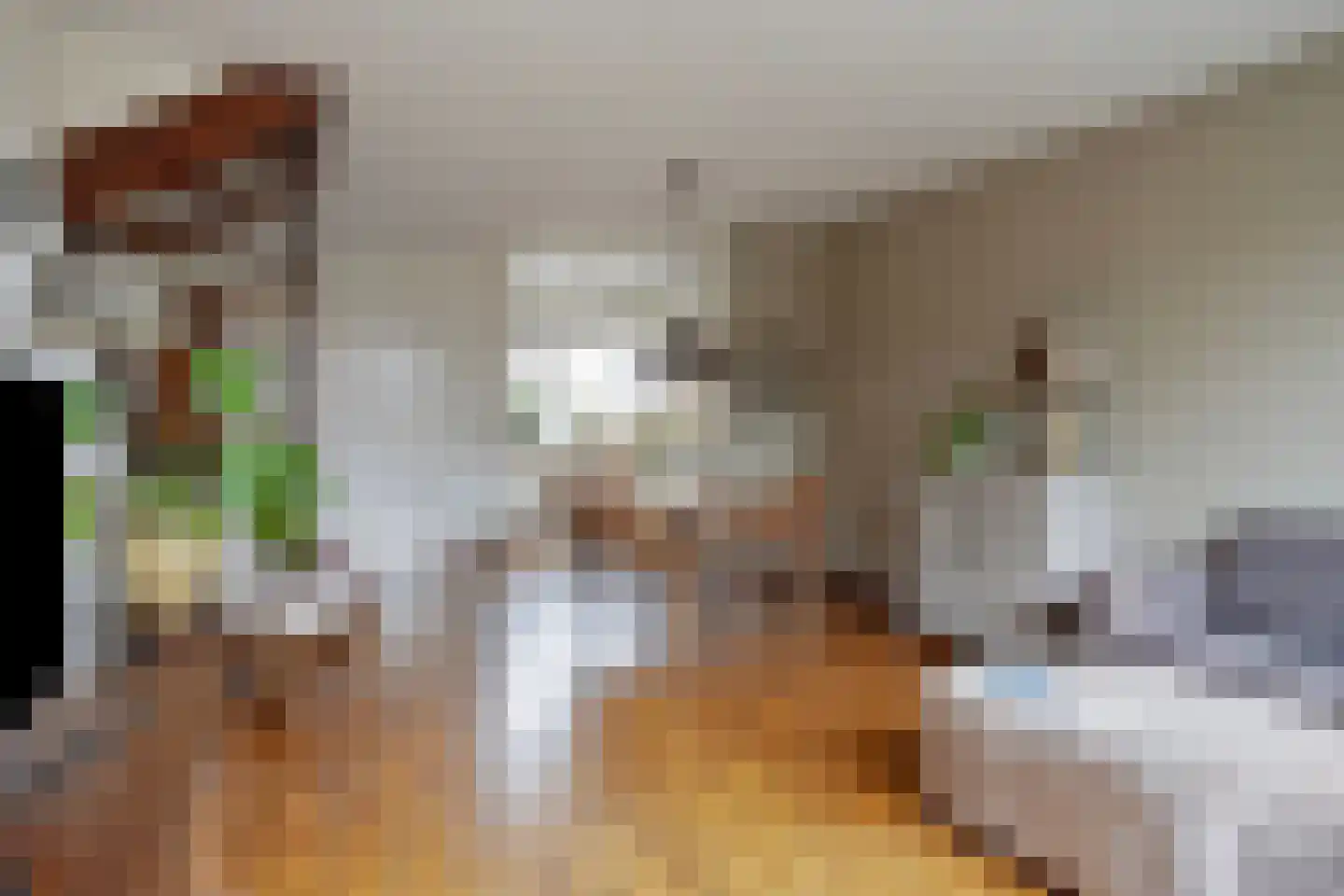 Dokter Kanterslaan 212 Grave foto 3