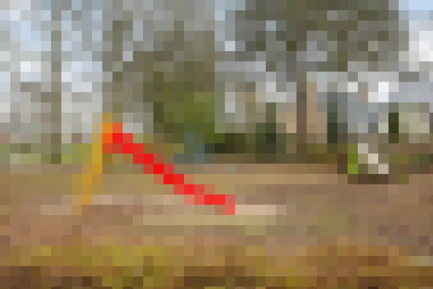 Dokter Kanterslaan 212 Grave thumbnail 33