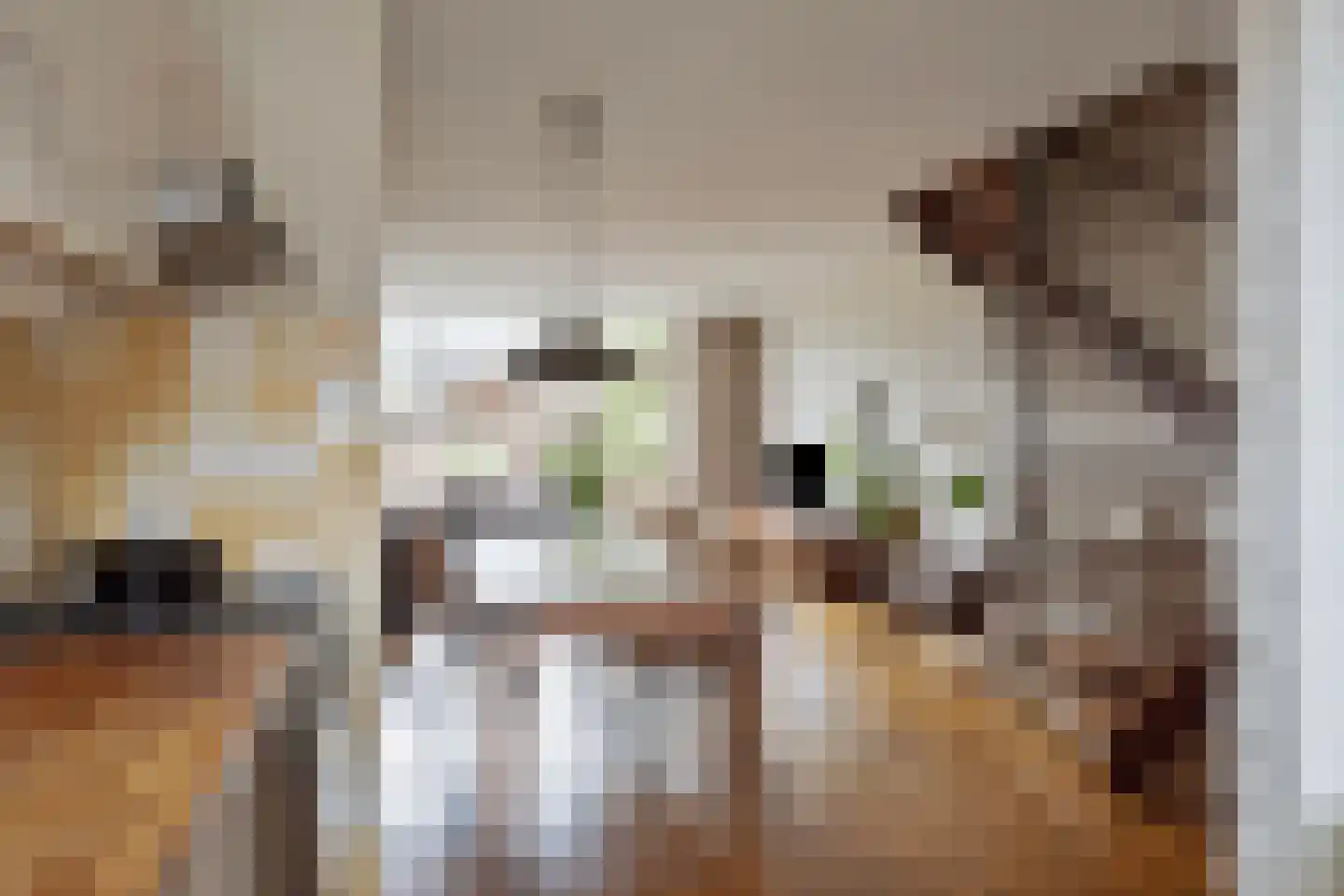Dokter Kanterslaan 212 Grave thumbnail 6