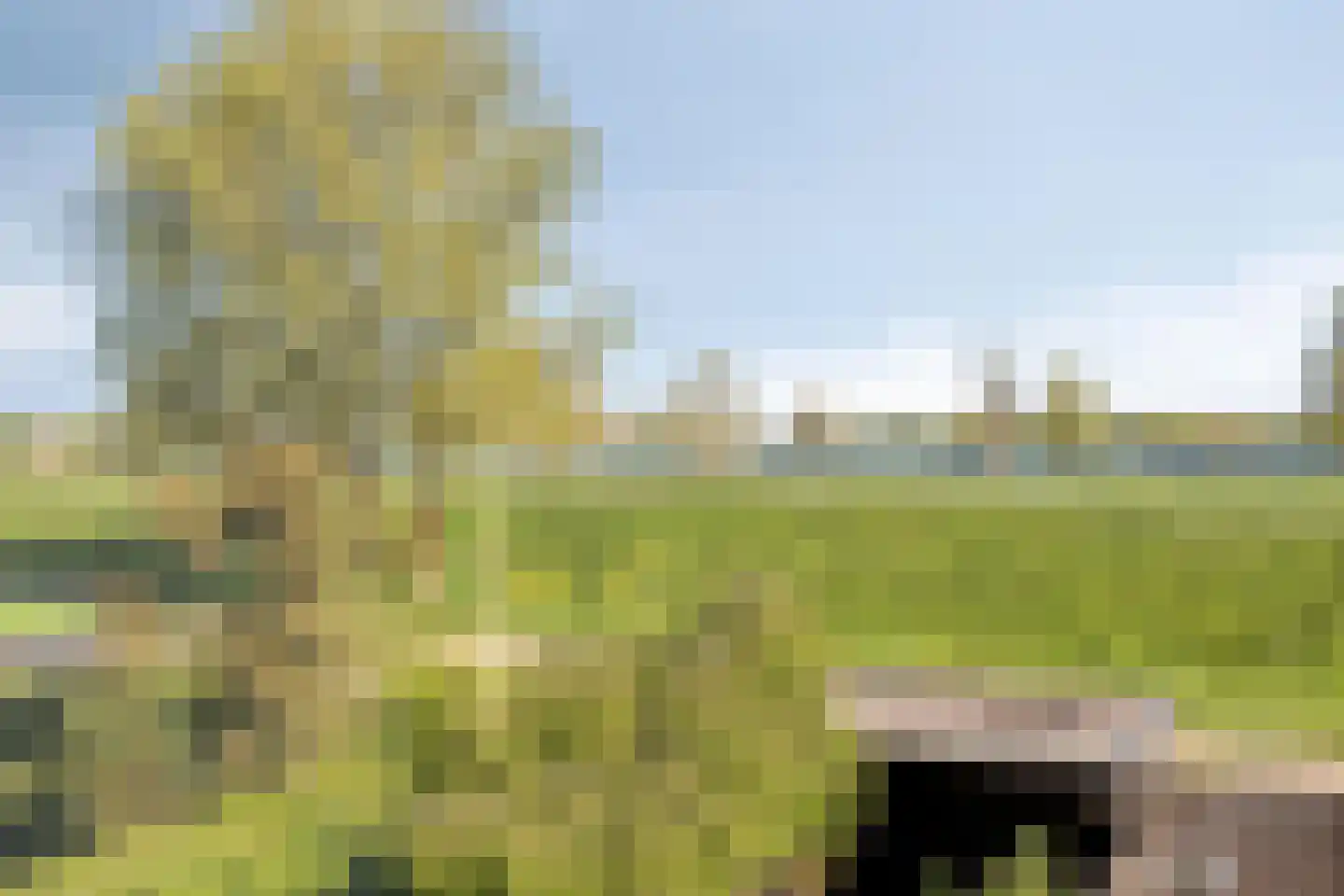 Dokter Kanterslaan 228 Grave foto 3