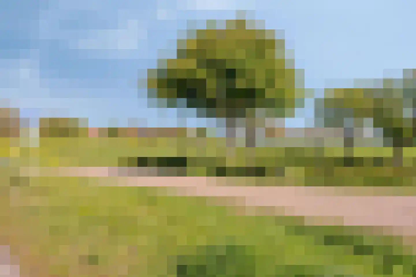 Dokter Kanterslaan 228 Grave thumbnail 45