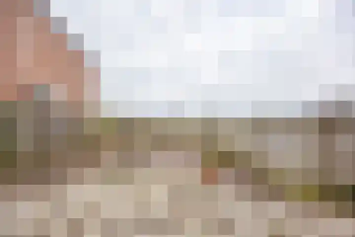 Dokter Kanterslaan 232 Grave thumbnail 27