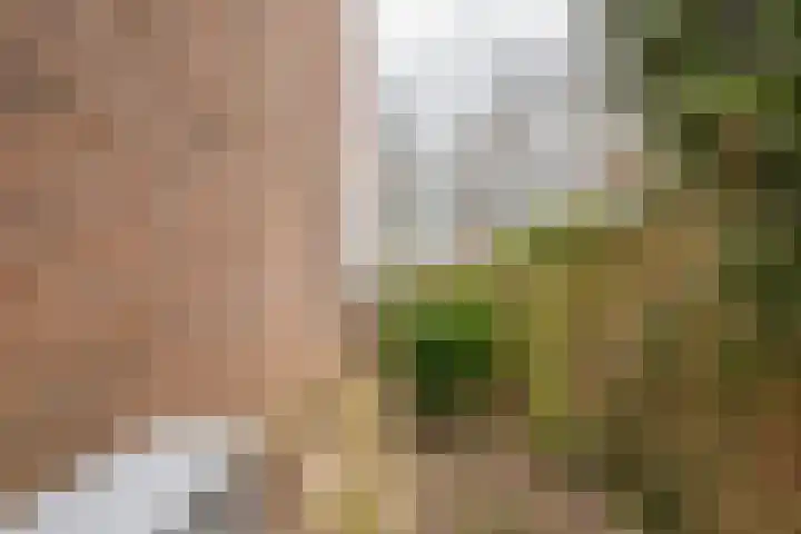 Dokter Kanterslaan 232 Grave thumbnail 29